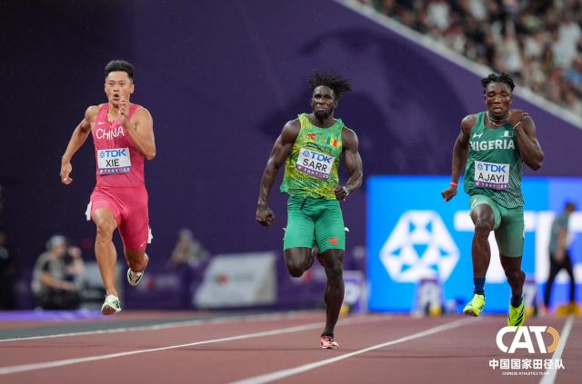 net, dingy net, dingy