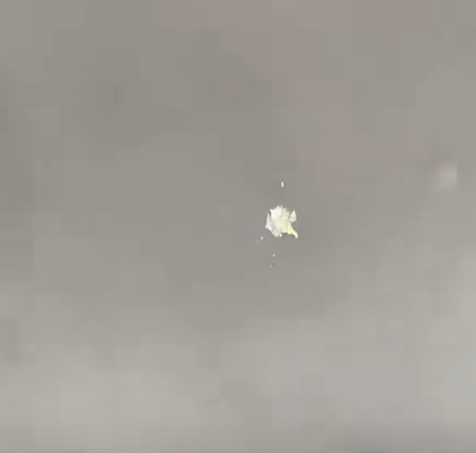 qUQAA, Suiul, 谱的事情 qUQAA, Suiul, 谱的事情