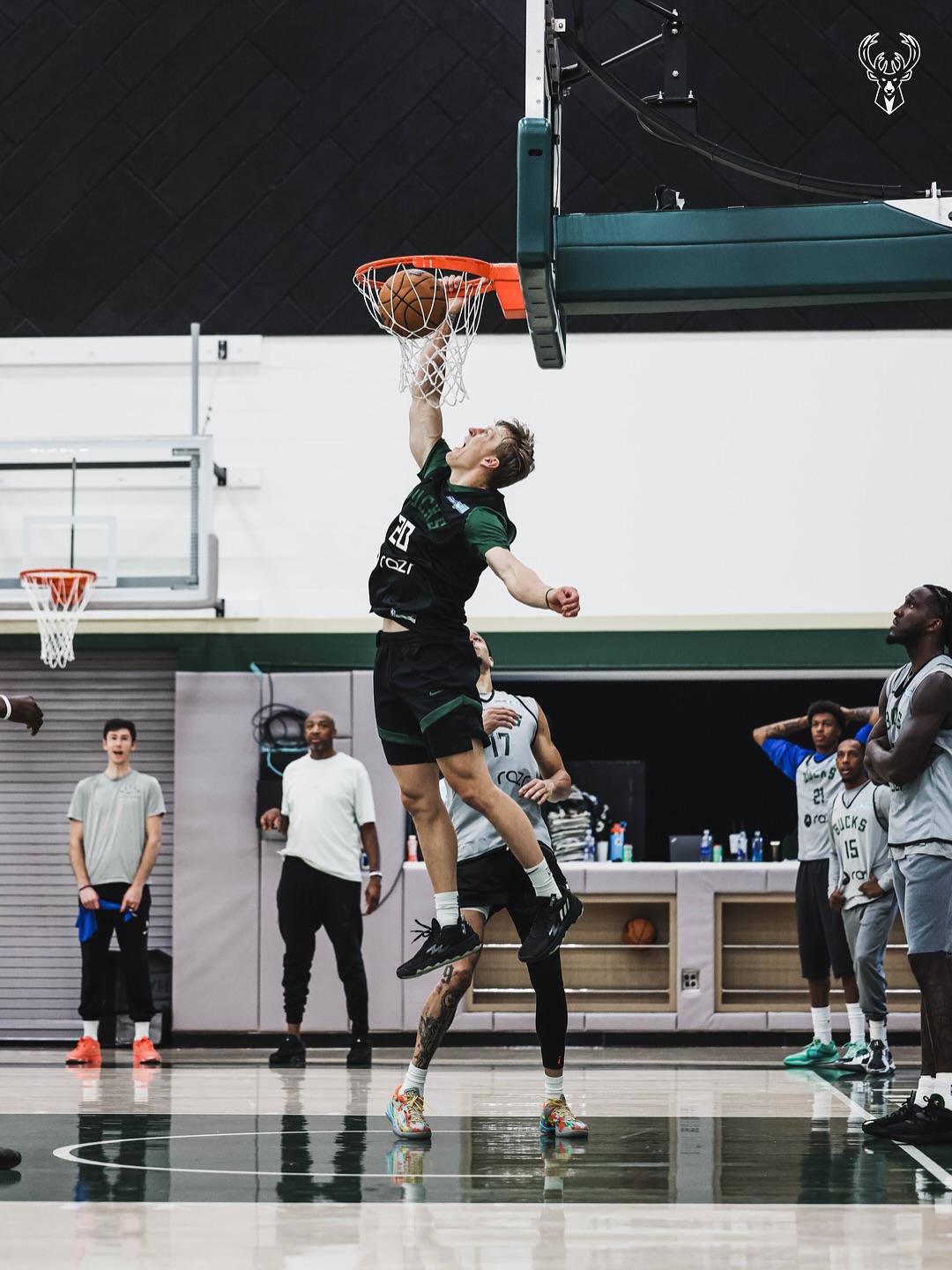 乳鸽进化, img, amp