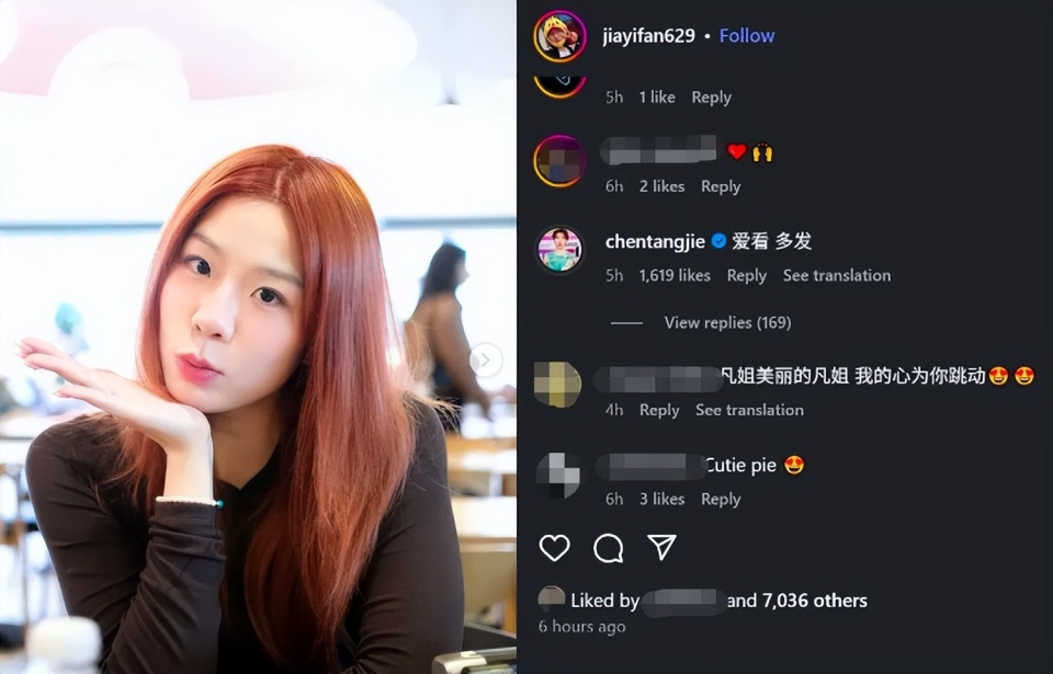 贾一凡在社, pmved